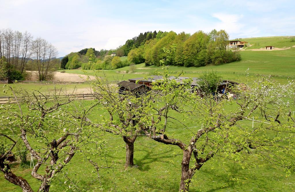 Familienparadies Reichenhauser Keutschach am See Dış mekan fotoğraf